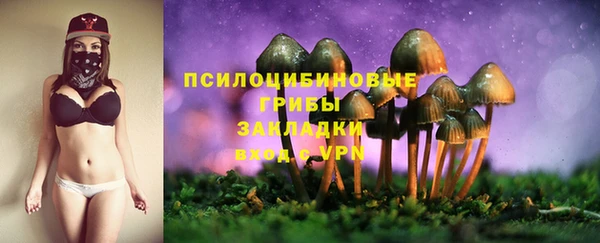 МДПВ Беломорск